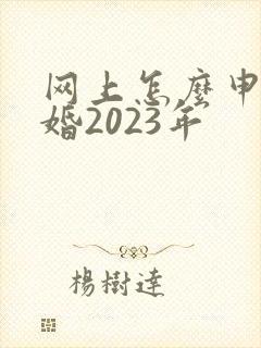 网上怎么申请离婚2023年