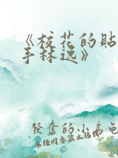 《校花的贴身高手林逸》