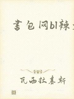 书包网bl辣文