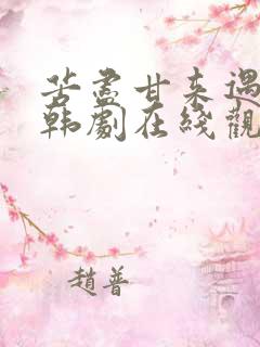 苦尽甘来遇见你韩剧在线观看免费