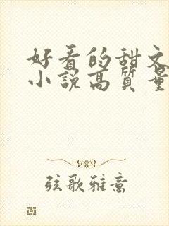 好看的甜文言情小说高质量文笔好