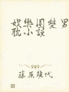 娱乐圈双男主原耽小说