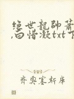 绝世龙帅萧子宁,白惜凝txt下载全本免费