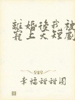 离婚后我被国士宠上天短剧