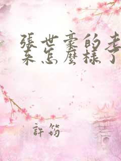 张世豪的老婆后来怎么样了