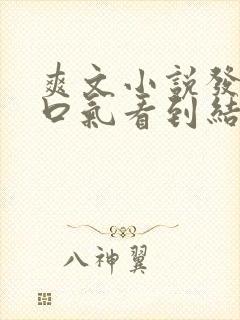 爽文小说发疯一口气看到结局