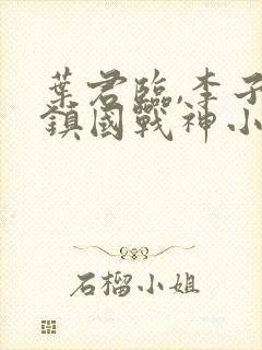 叶君临,李子染镇国战神小说