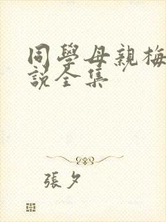 同学母亲梅姨小说全集