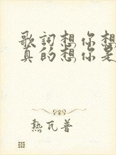 歌词想你想你我真的想你是啥歌名