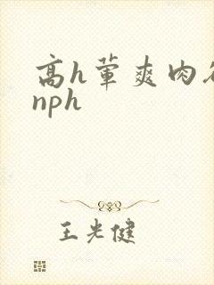 高h荤爽肉欲文nph