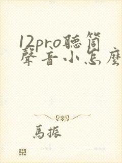 12pro听筒声音小怎么回事