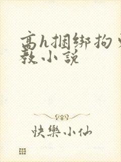 高h捆绑拘束调教小说