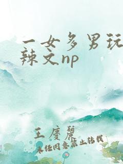 一女多男玩弄h辣文np