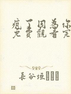 疯了因为你韩剧免费观看完整版