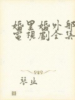 婚里婚外那些事电视剧全集