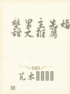 双男主先婚后爱甜文推荐