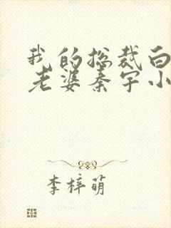 我的总裁白富美老婆秦宇小说正版