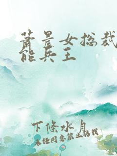 萧晨女总裁的全能兵王