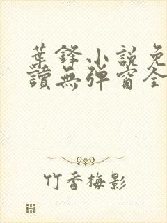 叶锋小说免费阅读无弹窗全文