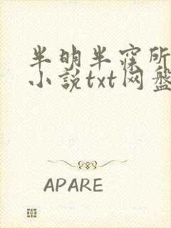 半明半寐所有的小说txt网盘