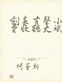 剑来有声小说免费收听大斌