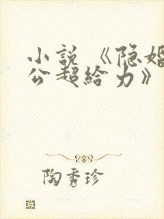 小说 《隐婚老公超给力》