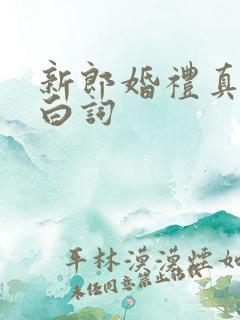 新郎婚礼真情告白词