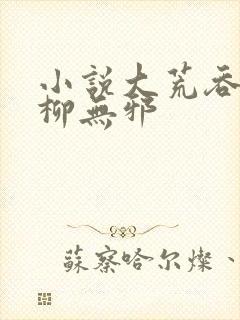 小说大荒吞天诀柳无邪