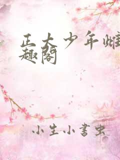 正太少年雌堕笔趣阁