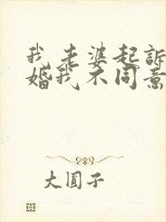 我老婆起诉我离婚我不同意怎么办