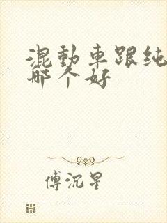 混动车跟纯电车哪个好