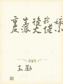 重生后我嫁给了反派大佬小说