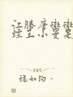 江胜唐微微柳如烟王小曼是什么小说