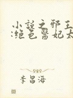 小说之邪王独宠:绝色医妃太逆天