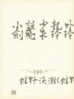 小说少龙外传龙剑飞朱玲玲