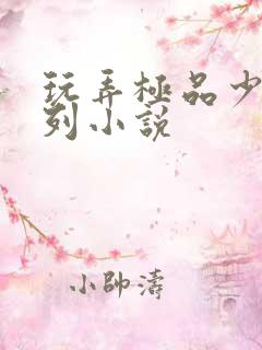 玩弄极品少妇系列小说