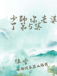 少帅你老婆又跑了第5集