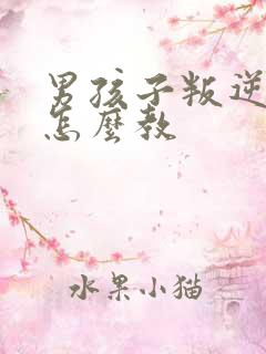 男孩子叛逆期,怎么教