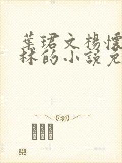 叶珺文杨怀洲阮林的小说免费阅读