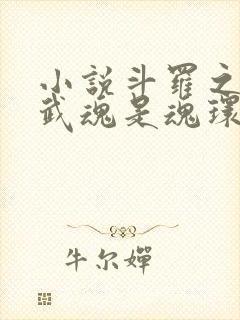 小说斗罗之我的武魂是魂环txt