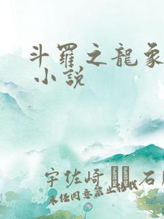 斗罗之龙象斗罗 小说