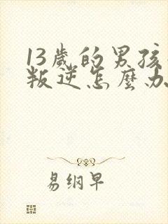 13岁的男孩子叛逆怎么办