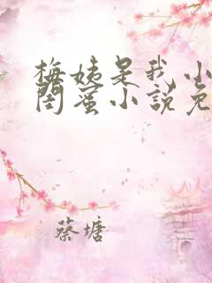 梅姨是我小妈的闺蜜小说免费阅读