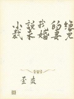 小说我的绝色总裁未婚妻免费阅读