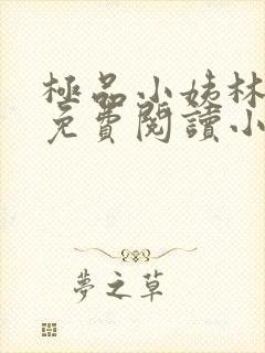 极品小姨林浩云免费阅读小说全文最新章节