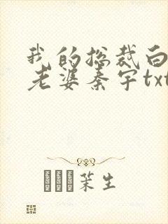 我的总裁白富美老婆秦宇txt电子版