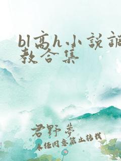 bl高h小说调教合集