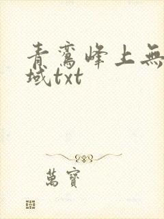 青鸾峰上无敌剑域txt