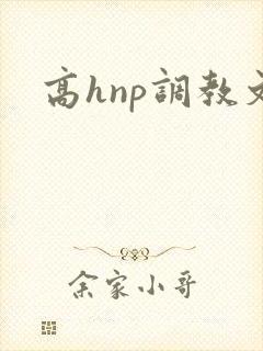 高hnp调教文