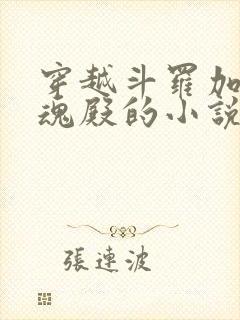 穿越斗罗加入武魂殿的小说